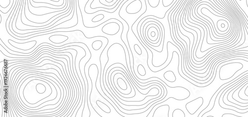Modern topographical contour map background. topography wavy geometric lines relief surface pattern abstract vector illustration.