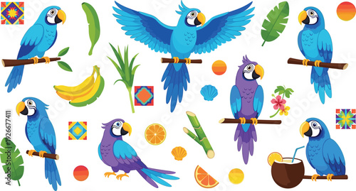 Blue and purple parrot vector set with tropical leaves fruits and exotic bird characters for summer wildlife and jungle design.
