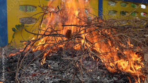 Bright Flames Erupting from Pile of Twigs Against Colorful Background in Outdoor Setting