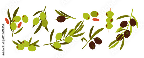 Olive branch with leaves. Mediterranean organic food concept ideal for packaging, logo design, and gourmet branding. Flat vector illustration.