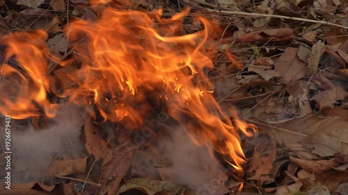 Bright Flames Erupting from Dry Leaves Among Autumn Foliage in Nature's Decay at a Warming Fire Scene