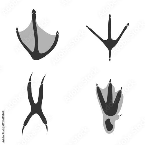Birds  footprints silhouettes set isolated on white background, such as idea of logo in gray. Stork, Penguin, Flamingo, Owl foot prints. Stock vector. EPS10.