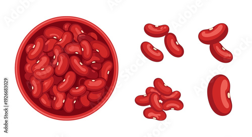 A top down view of red kidney beans in a bowl and scattered