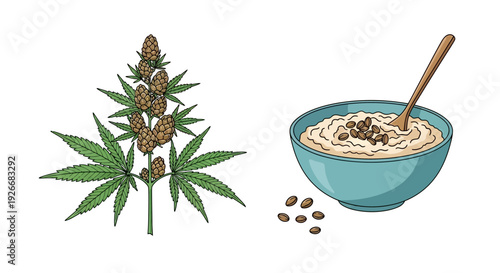 Cannabis plant alongside a bowl of oatmeal with seeds illustrated