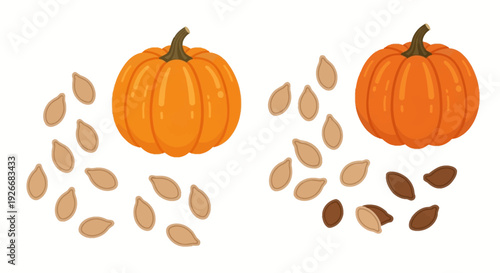 Two bright orange pumpkins with scattered seeds on a white background