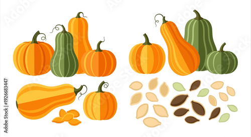A colorful assortment of pumpkins squash and pumpkin seeds displayed together