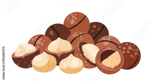 A colorful assortment of macadamia nuts whole and broken displayed together