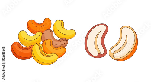 Illustration of colorful cashew nuts both whole and split open