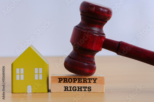 Property Rights Concept with gavel and house model