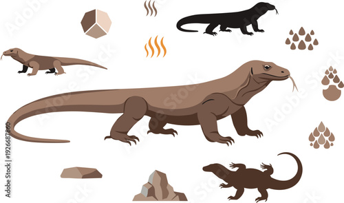 Komodo dragon lizard vector set with desert habitat elements footprints silhouettes and wild reptile illustrations for wildlife nature design.