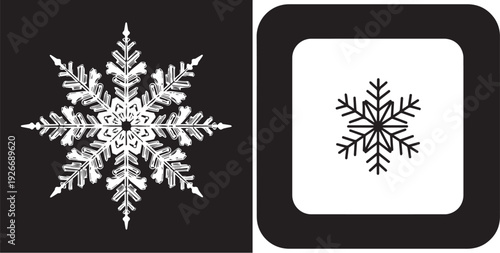 A dual-pane vector graphic featuring an intricate white dendritic snowflake on black, paired with a simplified black snowflake icon inside a rounded white square frame.