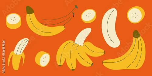 Stylized illustration of various bananas and banana slices on orange