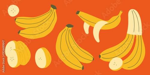 Stylized illustration of various bananas and banana slices on orange