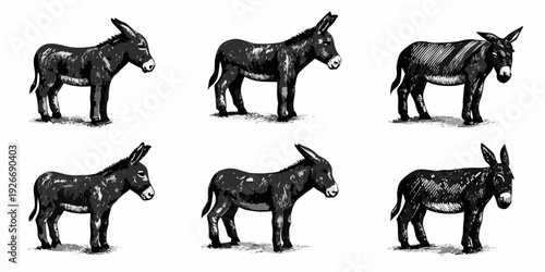 Vintage engraving depicting six donkeys in various poses and perspectives