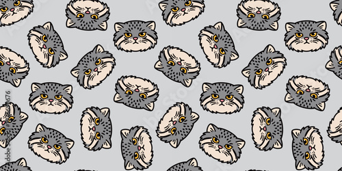 マヌルネコの顔のシームレスパターン かわいい圧強アニマル総柄イラスト　Pallas's Cat Face Seamless Pattern Cute Strong Expression Animal Background
