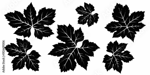 Black silhouettes of grape leaves scattered across a white background