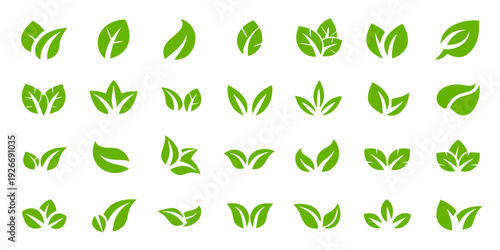 Collection of vibrant green leaves in various shapes and arrangements