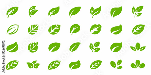 A collection of vibrant green leaves in various shapes and styles