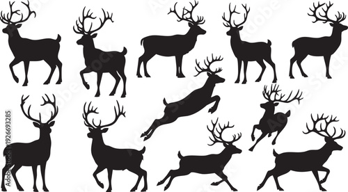 Vector illustration set of wild deer and reindeer silhouettes featuring stags with antlers and elk in a nature wildlife design for hunting or Christmas