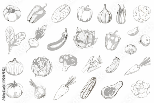 A collection of hand drawn vegetable illustrations in grayscale tones