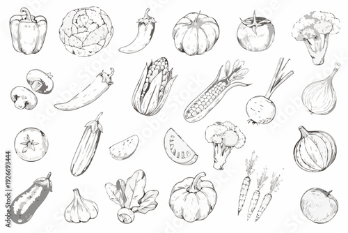 A collection of hand drawn vegetables and fruits in grayscale tones