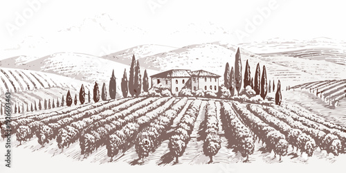 A vintage style illustration of a hillside vineyard and stone farmhouse