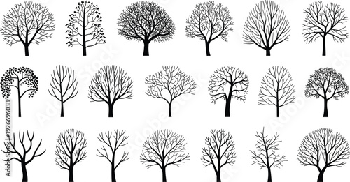 Collection of diverse deciduous tree silhouettes with bare branches and detailed crowns isolated on white background for landscape architecture vector  