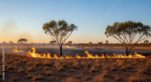 Controlled Burn in Australian Outback at Sunset - Fire Management.
