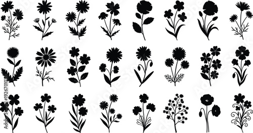 Collection of delicate botanical line art featuring wildflowers protea and field blossoms isolated on white background for nature inspired design