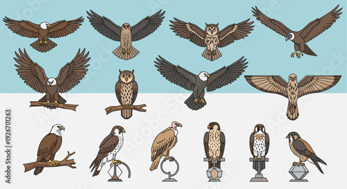 A comprehensive collection of various birds of prey, including eagles, owls, and falcons in different poses.