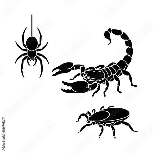 Black Silhouette Spider Scorpion Beetle Illustration.