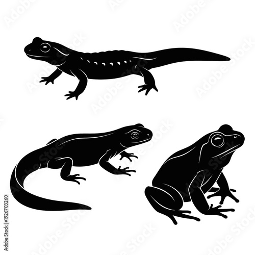 Black Silhouettes of Lizards and Frog.