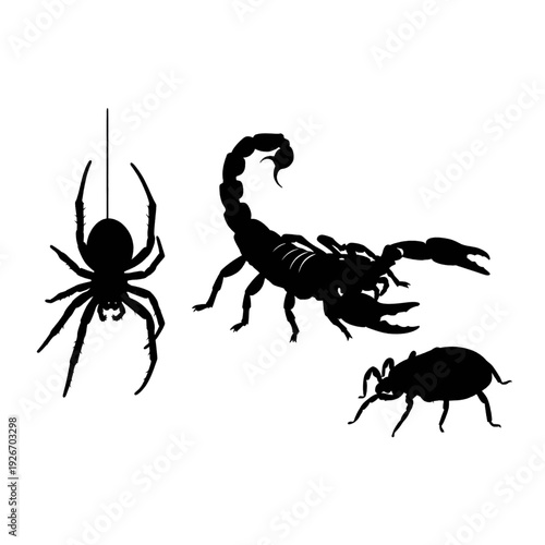 Black Silhouettes of Spider Scorpion and Beetle.