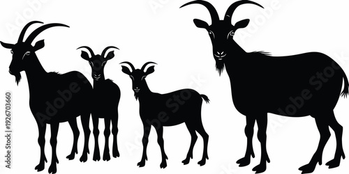 Silhouettes of a family of goats in a linear arrangement