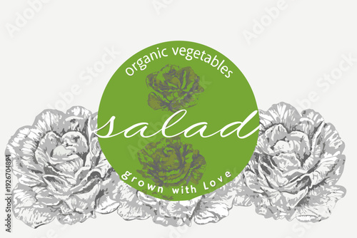 A vibrant green circular design promoting organic salad vegetables and freshness