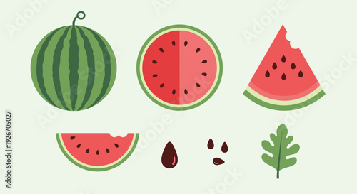 Flat lay illustrations of whole, sliced, and bitten watermelon pieces with seeds and a leaf.