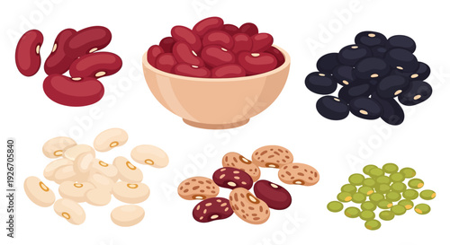 Various types of beans arranged in a colorful illustrative composition