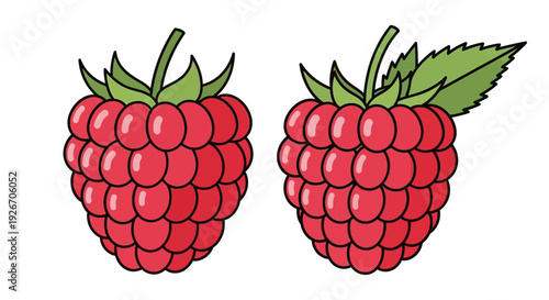 Two vibrant raspberries with green leaves depicted in a simple illustration