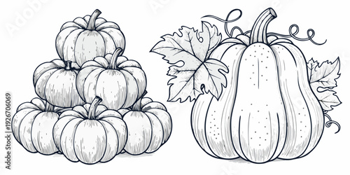 A stack of pumpkins and a single pumpkin with leaves sketched in grayscale