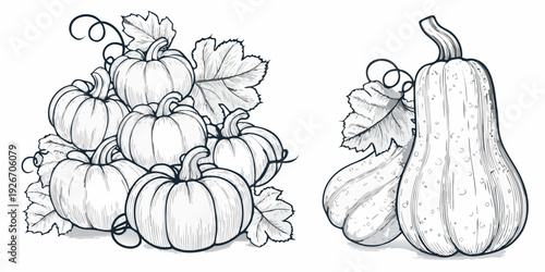 A collection of hand drawn pumpkins and gourds in monochrome style