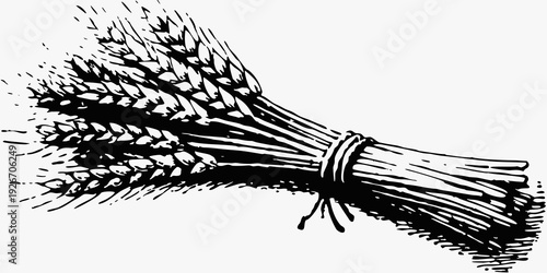 A black and white illustration of a bundled sheaf of wheat stalks