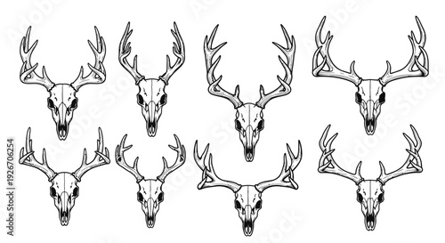 Deer Skulls with Antlers Black  White Line Art Set for Hunting and Wildlife Designs