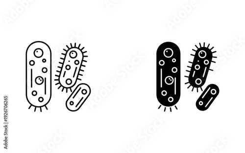 Bacteria cells dividing black and white bacterial