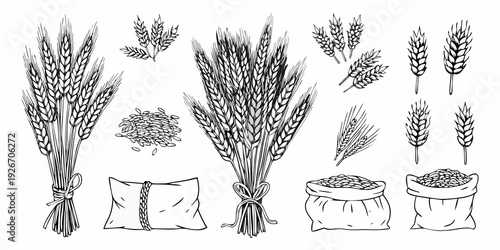 Vintage illustration of various wheat sheaves grains and sacks