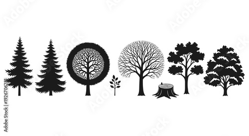 Nature  Ecology Trees Silhouettes Set - Conifer Deciduous Bare Stump Vector Glyphs