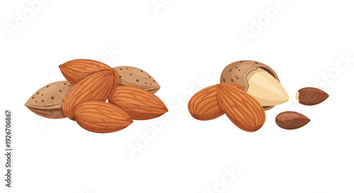 Illustration of almonds in shell and shelled showing their inner kernel