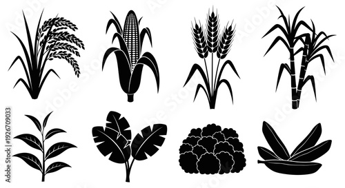 Agricultural and Food Crops Black and White Glyph Icons Set