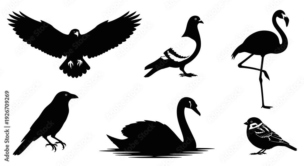 Obraz premium Black and White Bird Silhouettes Vector Set for Nature Wildlife Design