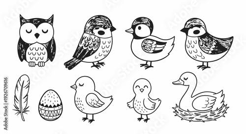 Nature Black and White Line Art: Cute Cartoon Birds, Owl, Duck, Sparrows, Chicks, Egg, Feather