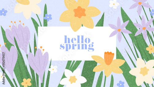 Hello Spring floral card. Vector Spring background with blooming wildflower. Nature-inspired banner with crocuses, daisies, narcissus. Trendy card for seasonal holiday, branding, cover, card, ads.